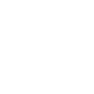 VICEROY LOGO